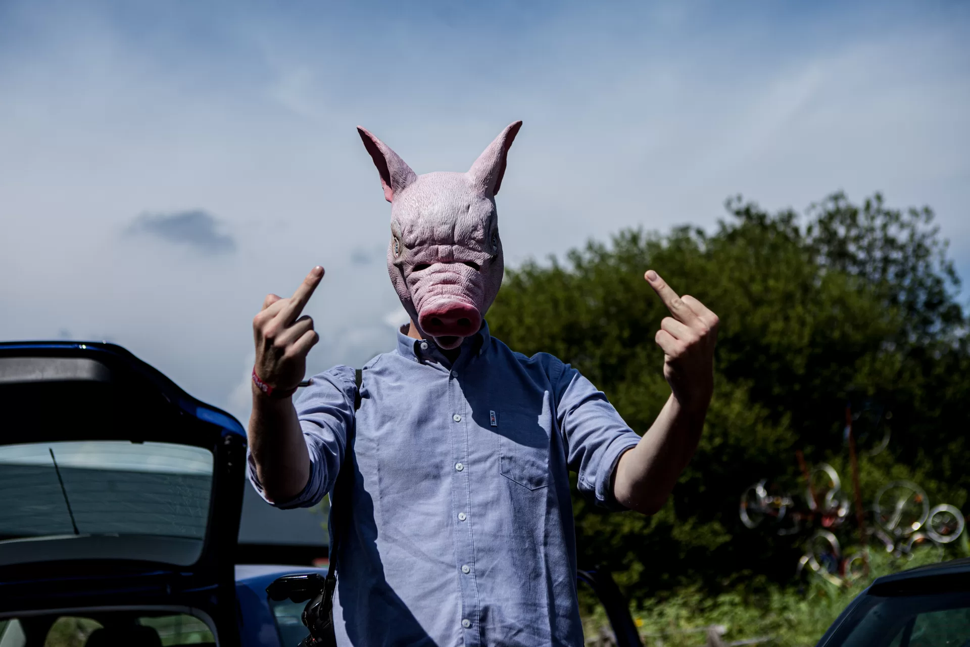 Schwein beim Dockville